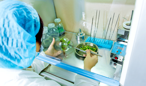 威客电竞·VKGAME(中国区)官方网站